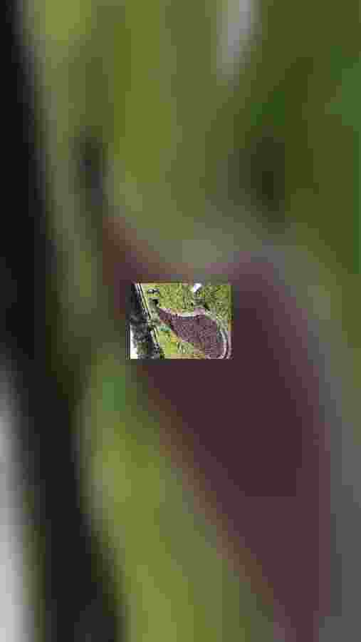 mobile.jpeg