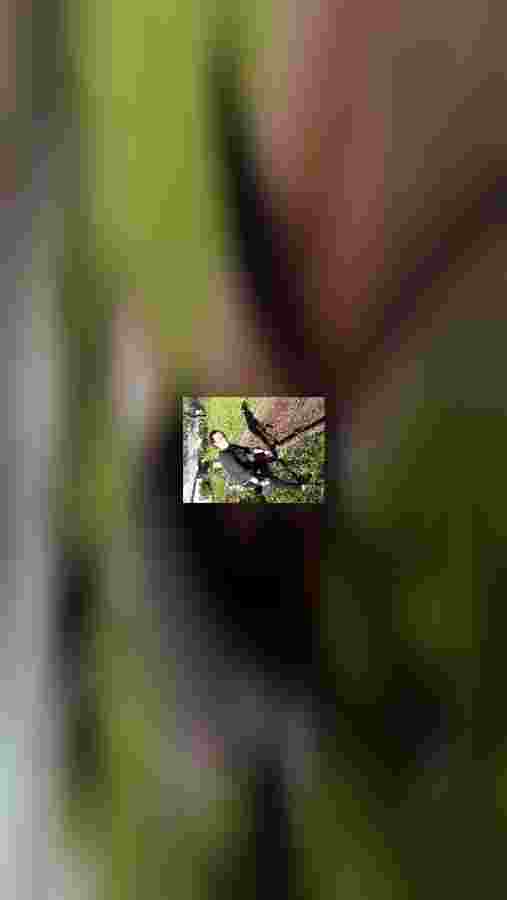 mobile.jpeg